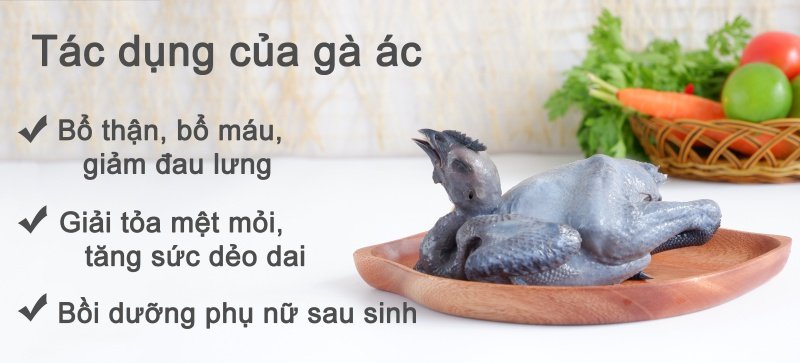 Bao Ngu Hai Sam Tiem Ga Ac Thuoc Bac 3 Bao Ngu Hai Sam Tiem Ga Ac Thuoc Bac