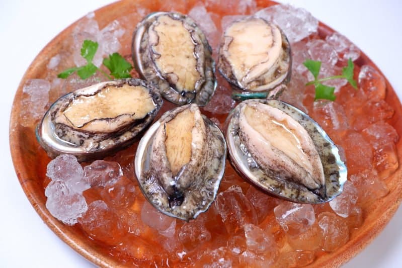 Bao Ngu Tuoi Han Quoc 9 3 Bao Ngu Tuoi Han Quoc 9