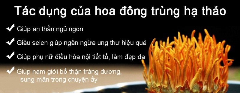 Chien Ke Tiem Bat Buu 3 Chien Ke Tiem Bat Buu