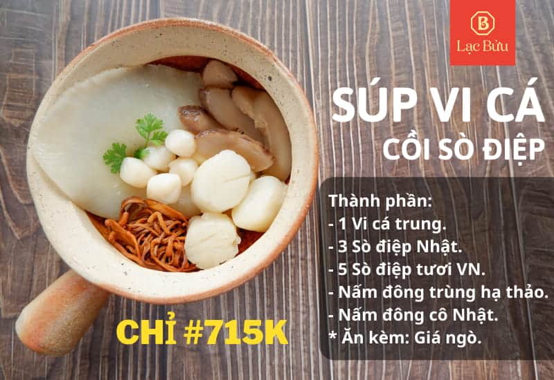 Vica-Sodiep-1 3