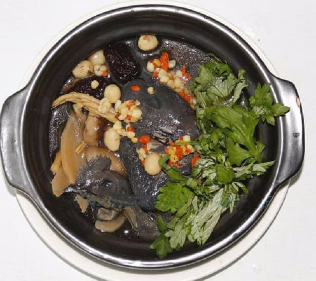 Giup-cho-co-the-co-du-suc-de-khang 1 Giup-cho-co-the-co-du-suc-de-khang