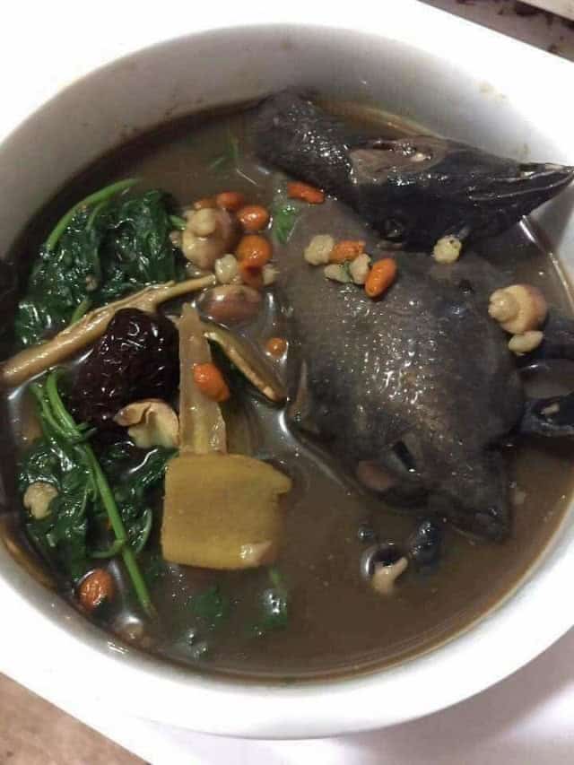 cach-nau-ga-ac-ham-thuoc-bac-ga-ac-tiem-thuoc-bac-dinh-duong- 1 cach-nau-ga-ac-ham-thuoc-bac-ga-ac-tiem-thuoc-bac-dinh-duong
