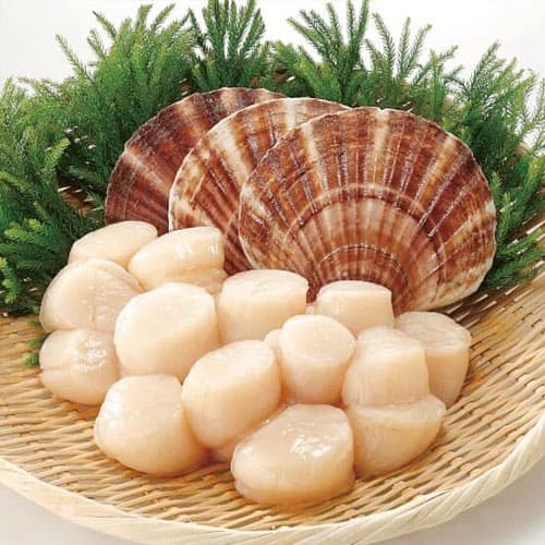 Sò-điệp-min 3