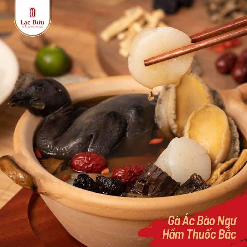 ga ac bao ngu tiem thuoc bac VIP lac buu 2 3