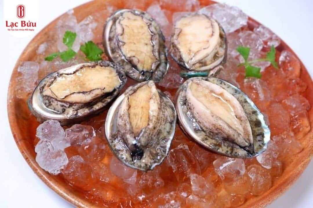 bao-ngu-lac-buu 3 bao-ngu-lac-buu