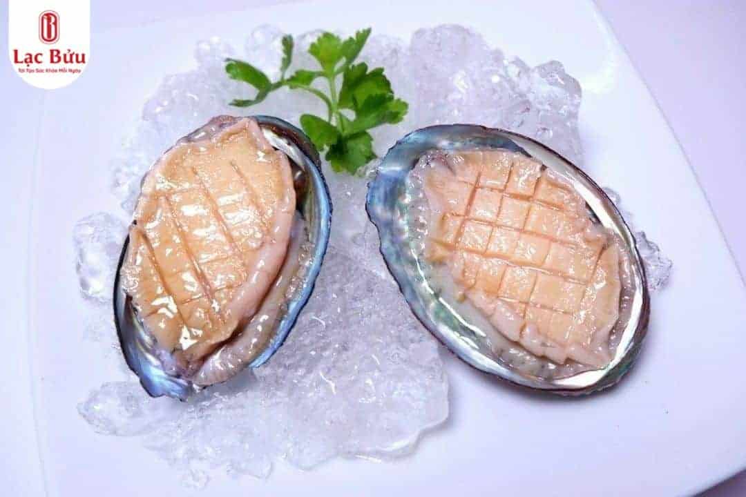 bao-ngu-lac-buu 3 bao-ngu-lac-buu