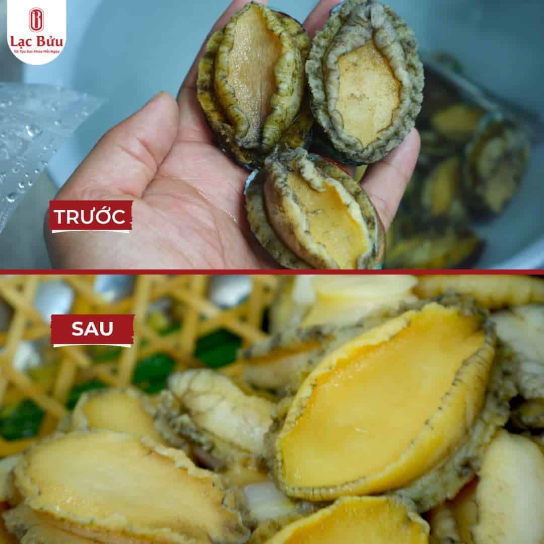 bao-ngu-lac-buu 3 bao-ngu-lac-buu