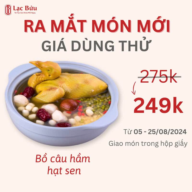 bồ câu hầm hạt sen 249k 3