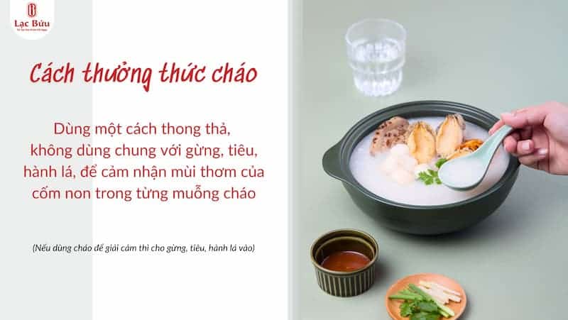 Cách nấu cháo yến cho người già nêm ít gia vị mà vẫn thơm ngon. 3 Cách nấu cháo yến cho người già